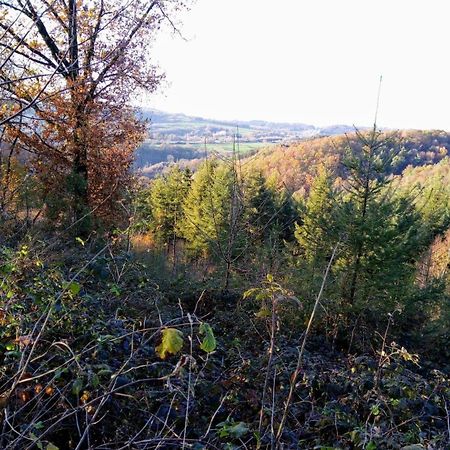 Votre Horizon Lägenhet Aywaille Exteriör bild