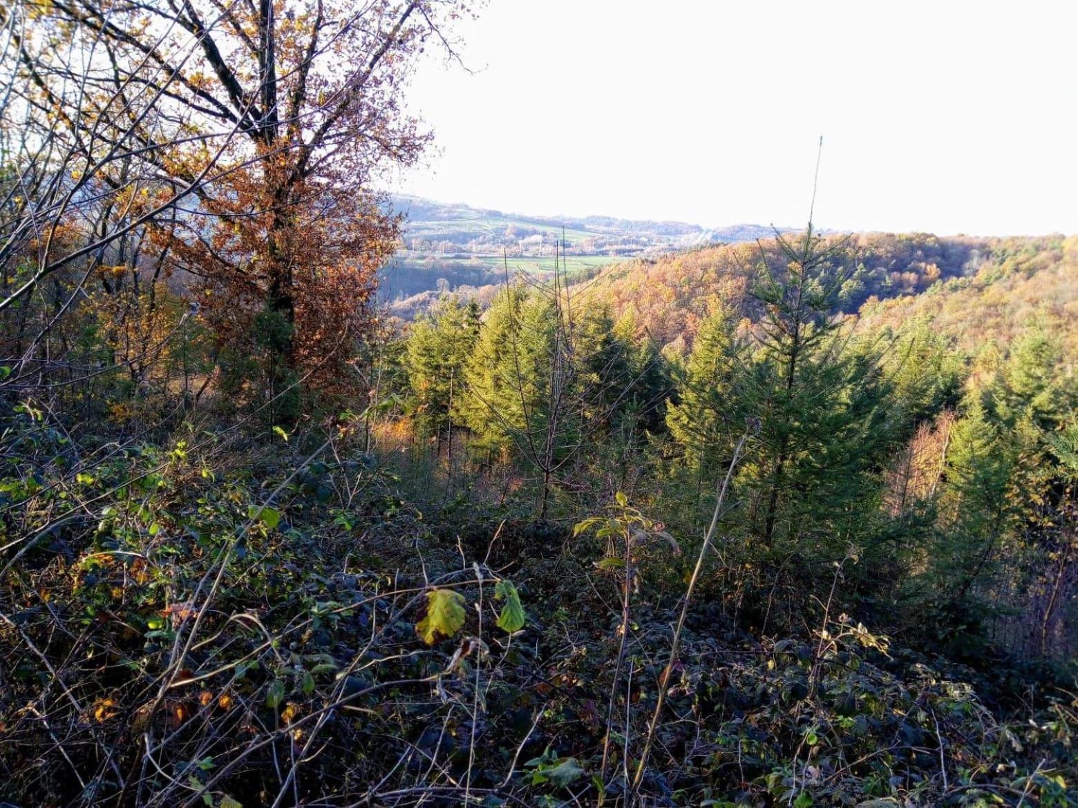 Votre Horizon Lägenhet Aywaille Exteriör bild