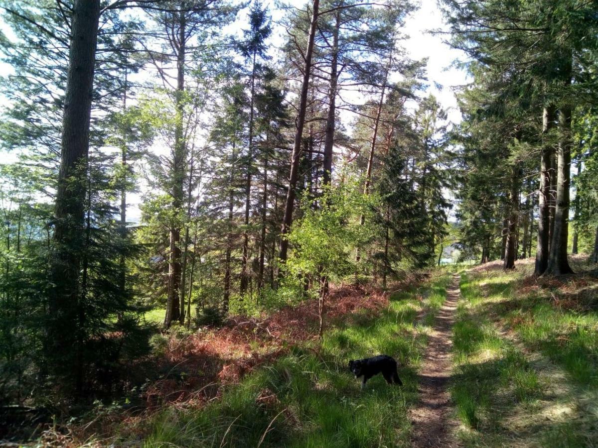 Votre Horizon Lägenhet Aywaille Exteriör bild